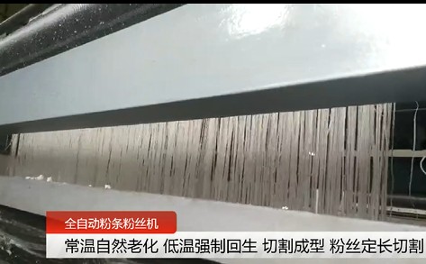 全自動(dòng)紅薯粉條機(jī)