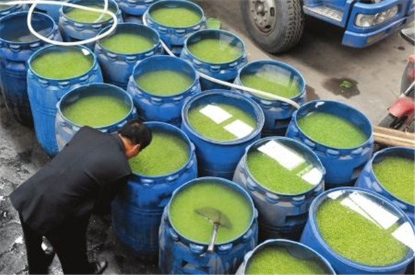 豌豆淀粉加工設(shè)備