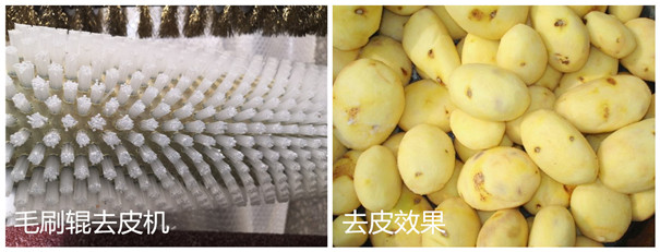 木薯去皮機(jī)-毛刷輥