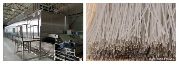 紅薯粉條機(jī)－全自動(dòng)