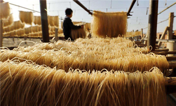 紅薯粉條機(jī)