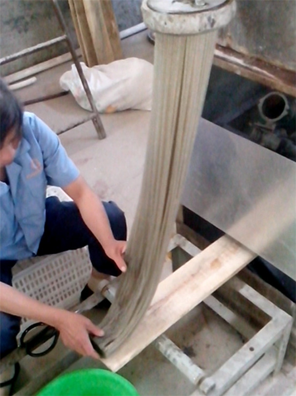 紅薯粉條機(jī)