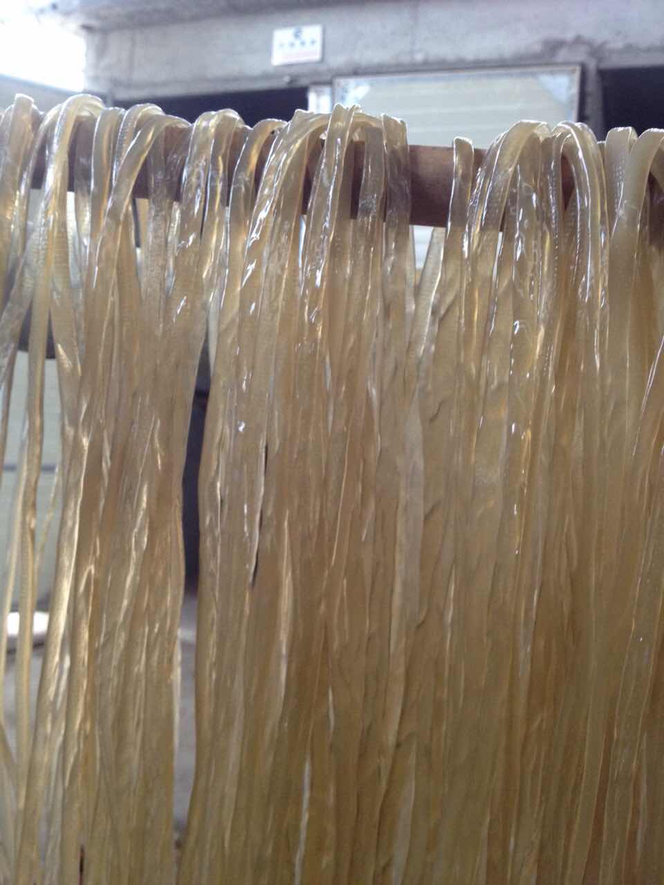 擠出式粉條機產(chǎn)品