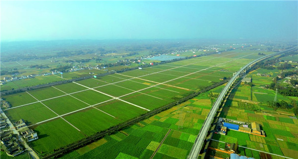 紅薯產(chǎn)業(yè)鏈條