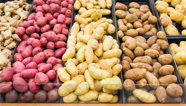 淀粉、粉條加工原料