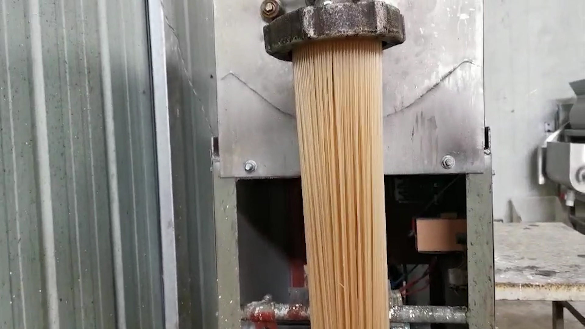 紅薯粉條機(jī)加工設(shè)備