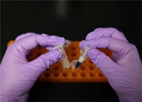 厲害了我的國！西北風(fēng)真能喝飽了，中國首次實(shí)現(xiàn)二氧化碳人工合成淀粉